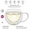 Modern Classic Insulated Tea Cups