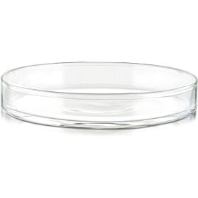 Replacement Glass Teapot Lid for Balance Cups and Balance Teapot