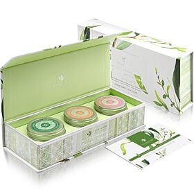 Radiant Greens Loose Leaf Tea Trio Box