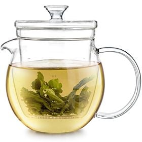 Gardenia Borosilicate Glass Teapot & Infuser With Microdots for Loose Tea
