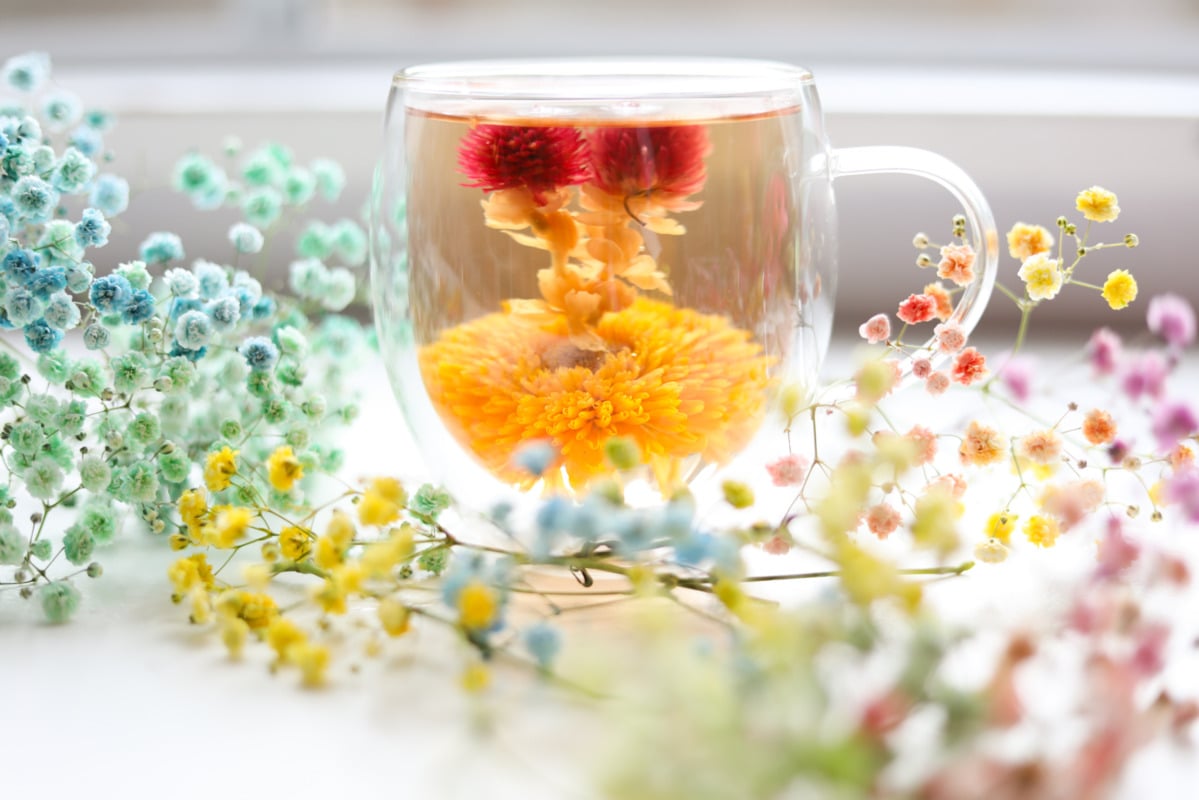 All About Flowering Teas and How to Make Them
