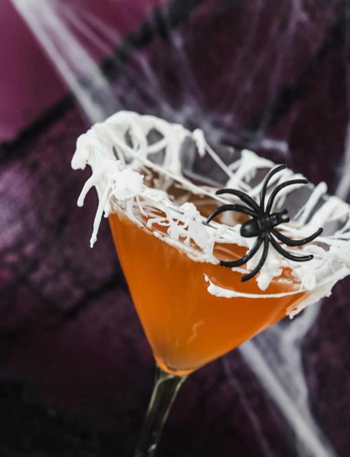 Cobweb Rim Apple Spice Gin & Tonic