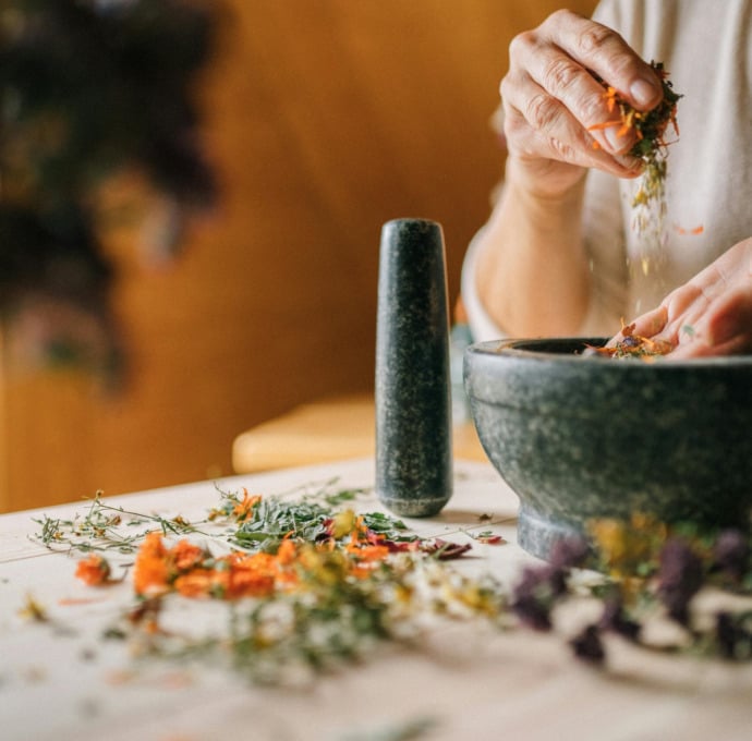 Excellent Immune-Boosting Teas for a Little Extra Wellness