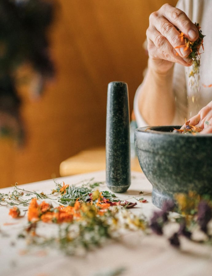 Excellent Immune-Boosting Teas for a Little Extra Wellness